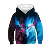 3D Print Wolf Boys Hoodies