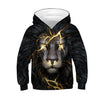 3D Print Wolf Boys Hoodies